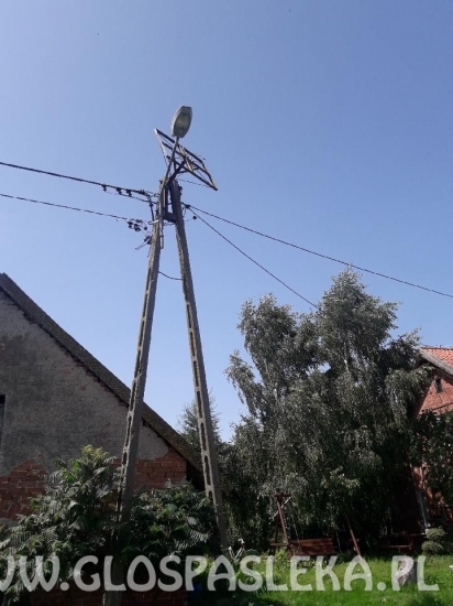 Zniszczone bocianie gniazdo