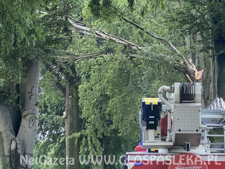 Połamane drzewa i kolizje