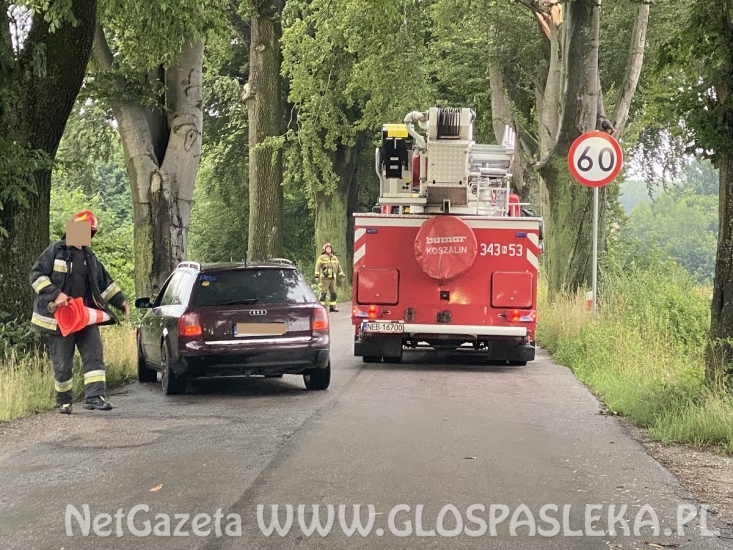 Połamane drzewa i kolizje