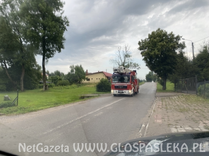 Połamane drzewa i kolizje