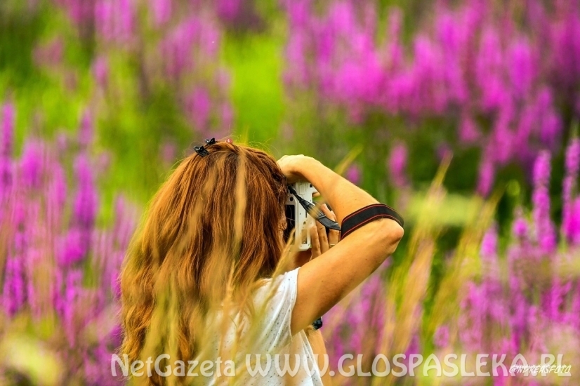 Plener Fotograficzny w Dobrym