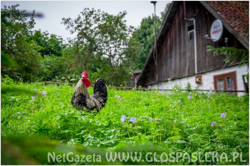 Plener Fotograficzny w Dobrym