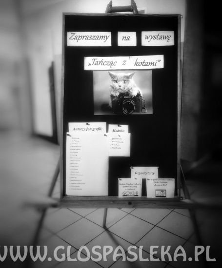 Plener Fotograficzny w Dobrym