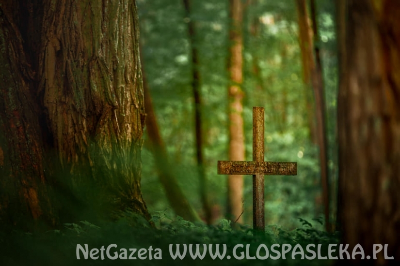 Plener Fotograficzny w Dobrym