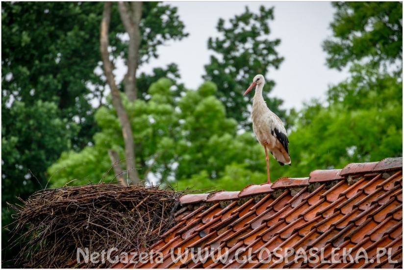 Plener Fotograficzny w Dobrym