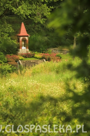 Plener Fotograficzny w Dobrym