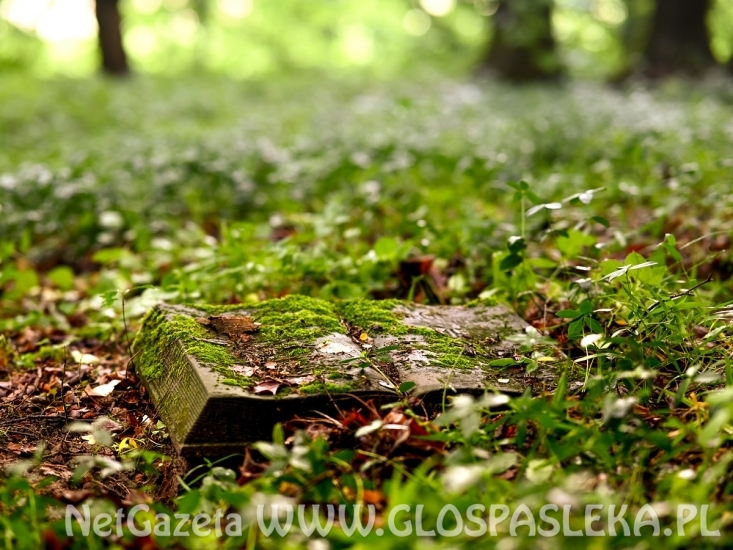 Plener Fotograficzny w Dobrym