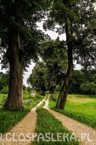 Plener Fotograficzny w Dobrym