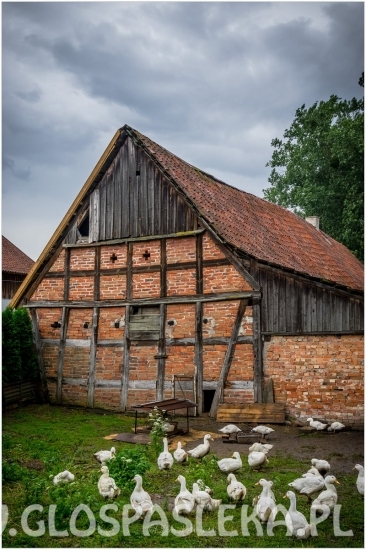 Plener Fotograficzny w Dobrym