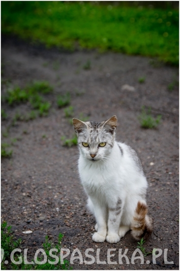 Plener Fotograficzny w Dobrym
