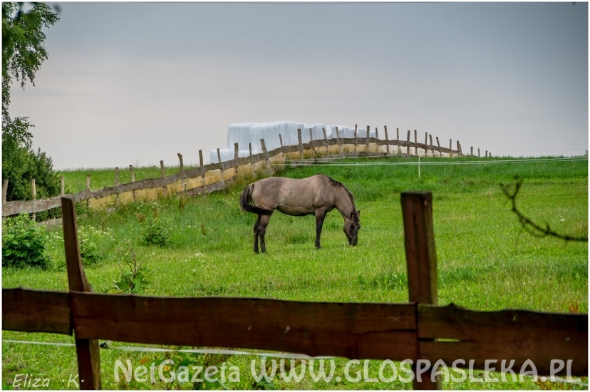 Plener Fotograficzny w Dobrym