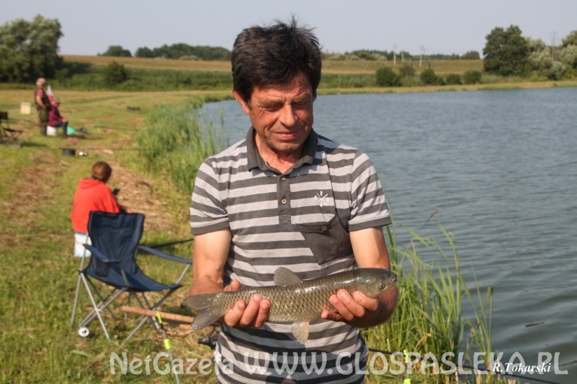 PUCHARY ZAKRZEWKA II ROZDANE