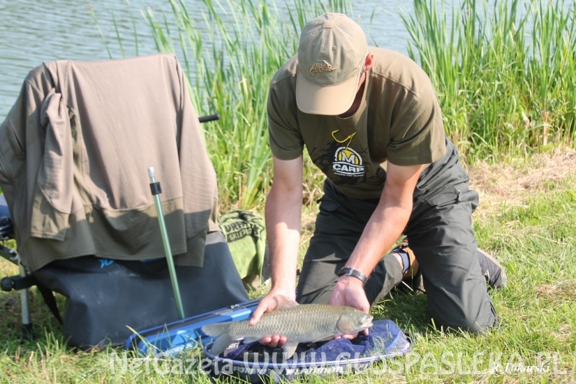 PUCHARY ZAKRZEWKA II ROZDANE
