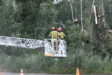 Szacowanie strat po wczorajszej burzy