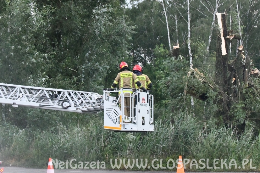 Szacowanie strat po wczorajszej burzy