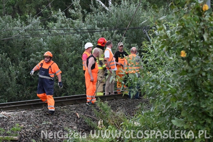 Szacowanie strat po wczorajszej burzy