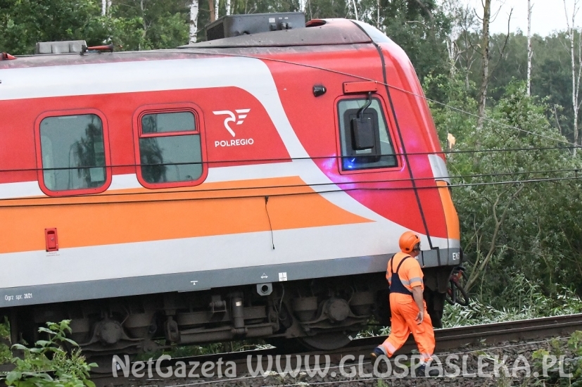 Szacowanie strat po wczorajszej burzy