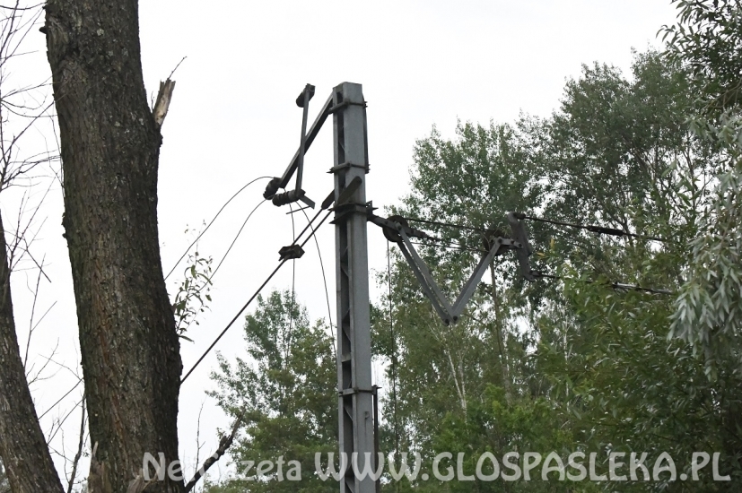 Szacowanie strat po wczorajszej burzy