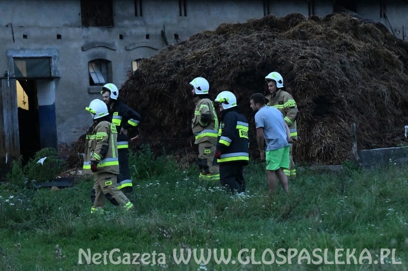 Szacowanie strat po wczorajszej burzy