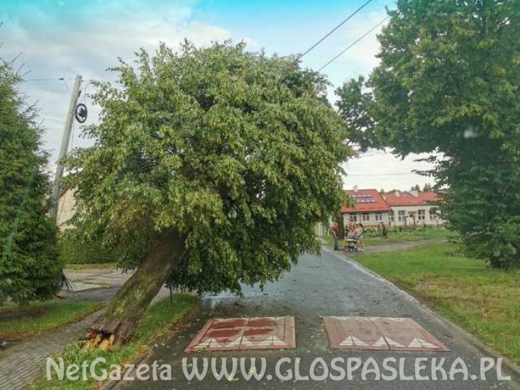 Szacowanie strat po wczorajszej burzy