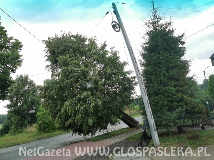 Szacowanie strat po wczorajszej burzy