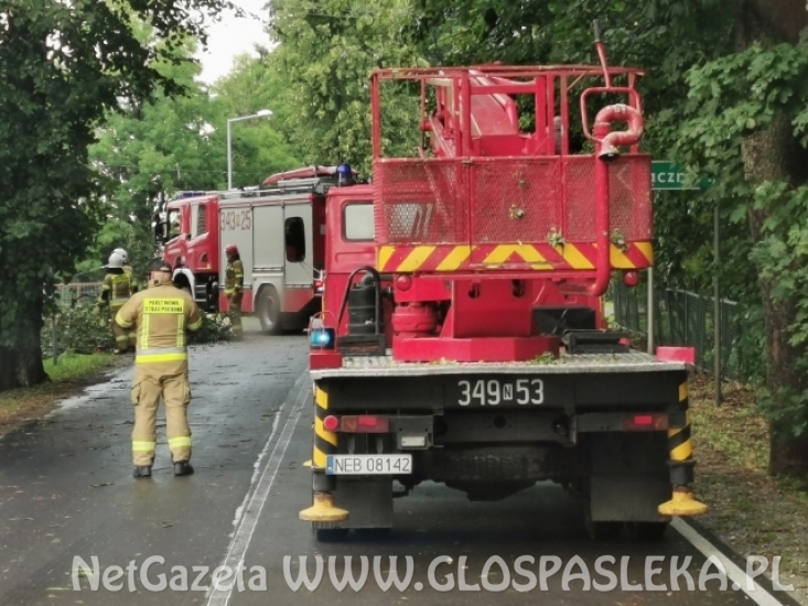 Szacowanie strat po wczorajszej burzy