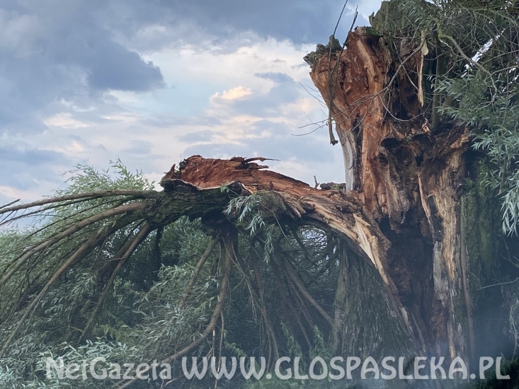 Szacowanie strat po wczorajszej burzy