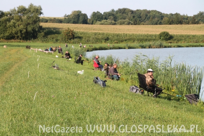 Wyniki V Grand Prix Zakrzewka II