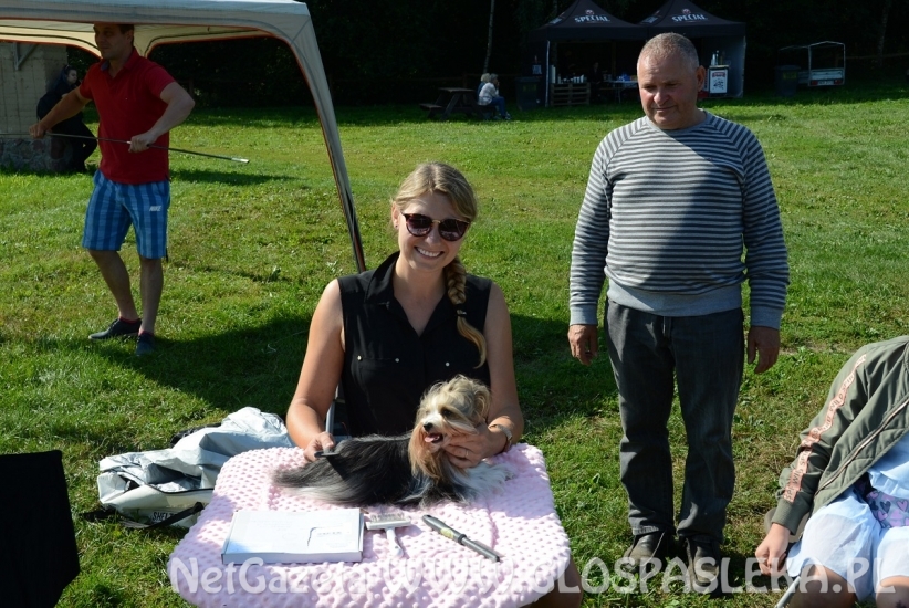 Wystawa psów rasowych