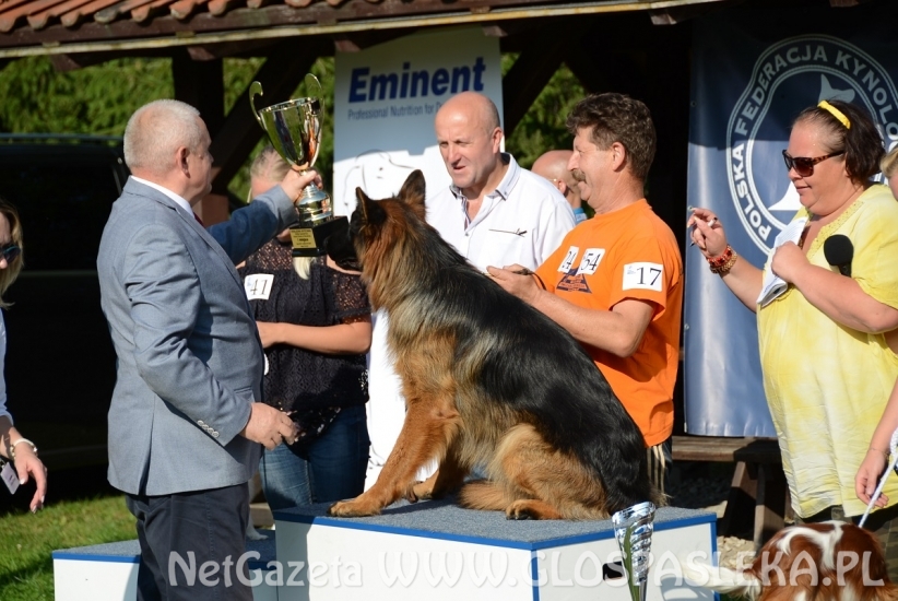 Wystawa psów rasowych