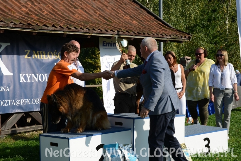 Wystawa psów rasowych