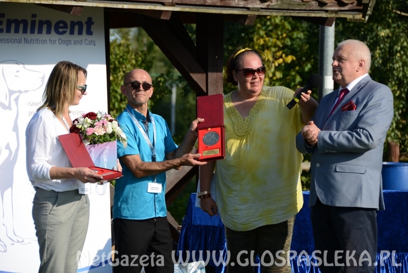 Wystawa psów rasowych