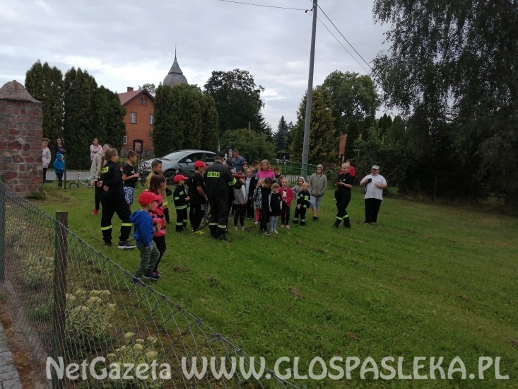 Festyn w Zielonce Pasłęckiej