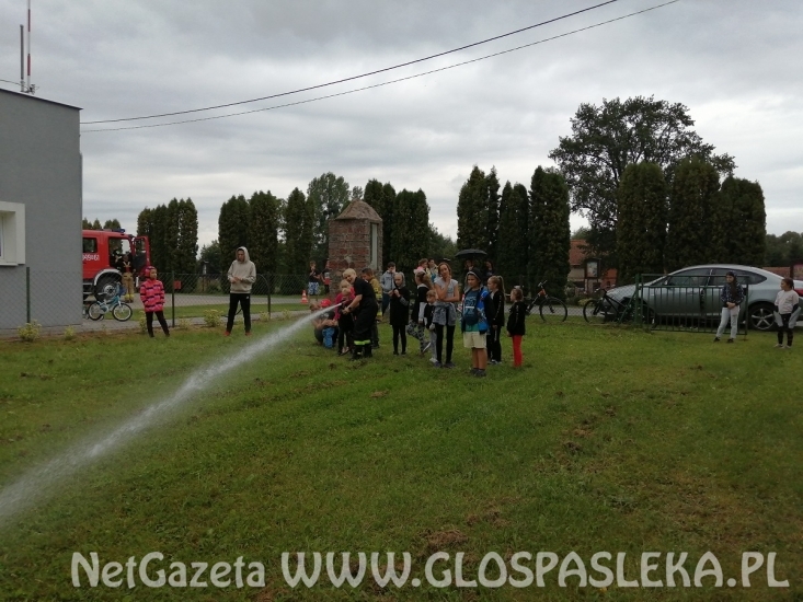 Festyn w Zielonce Pasłęckiej