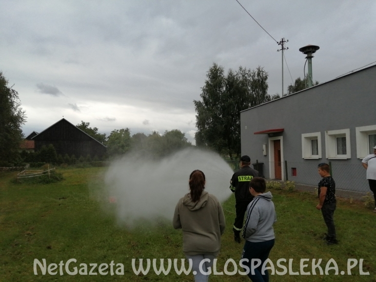 Festyn w Zielonce Pasłęckiej