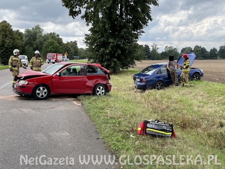 Sprawca wypadku zbiegł