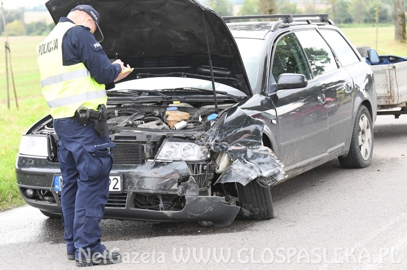 Sprawca wypadku zbiegł