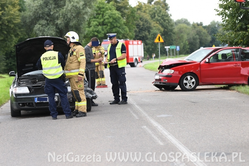 Sprawca wypadku zbiegł