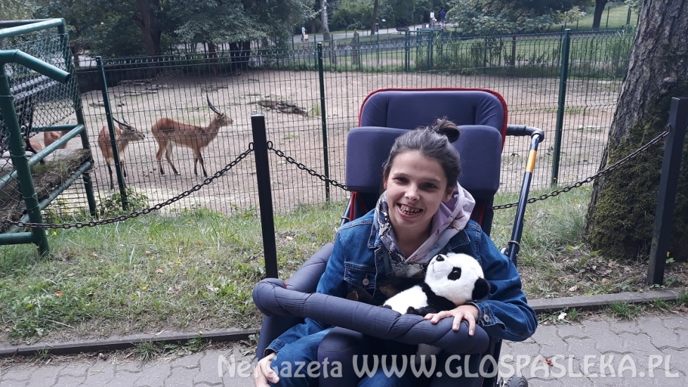 Wycieczka do ZOO