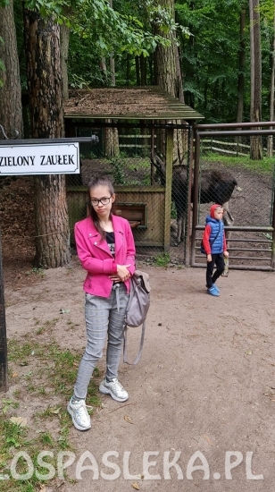 Wycieczka do ZOO