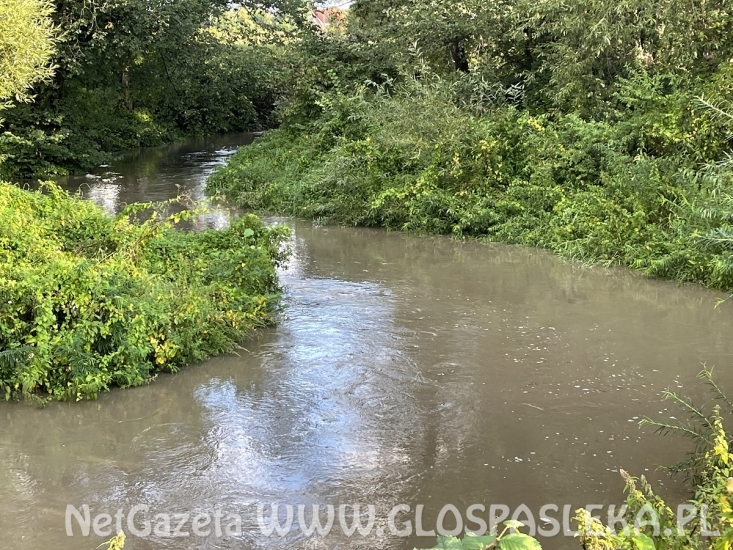 Powódź nam nie grozi