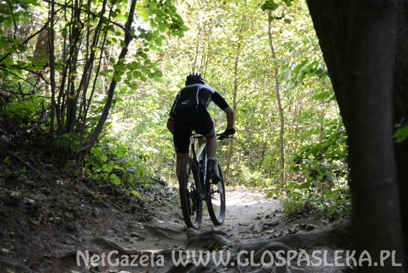 MTB Maraton - wyniki