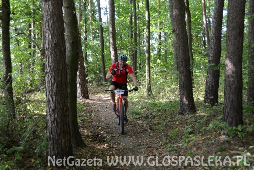 MTB Maraton - wyniki