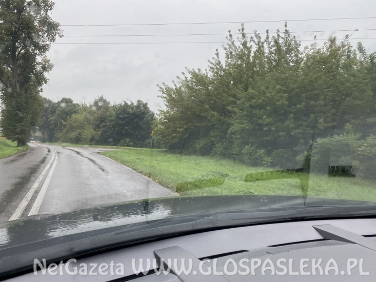 Alternatywa dla Zamkowej