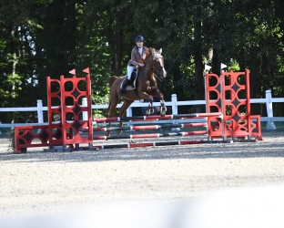 Do Biskupca po naukę