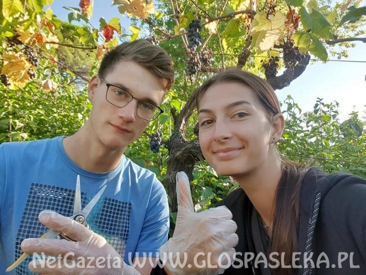 Powrót uczniów ZSEiT z Rimini