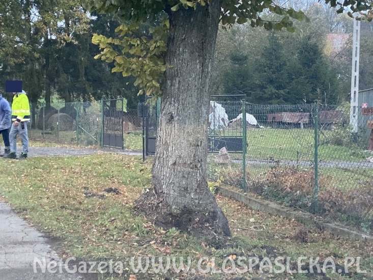 Łukszty - volvo na drzewie