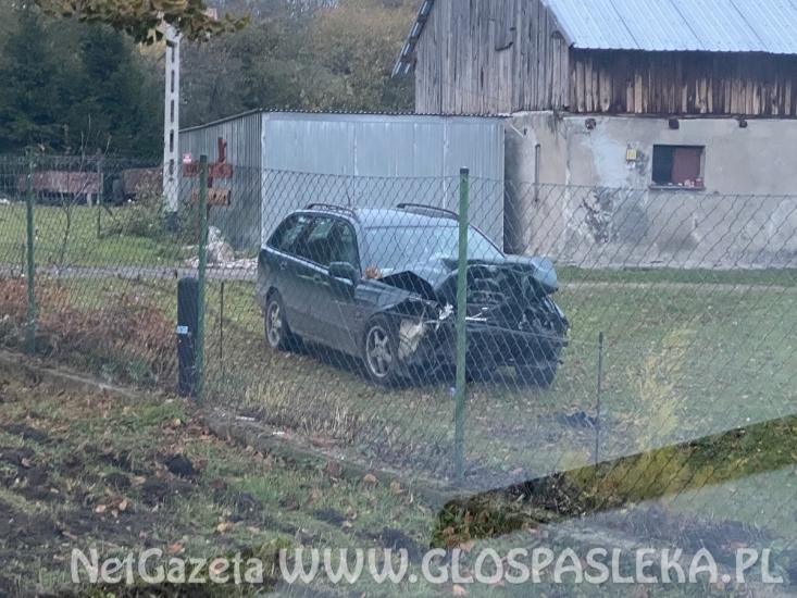 Łukszty - volvo na drzewie