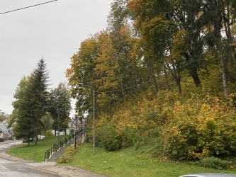 Porządki na wzgórzu zamkowym