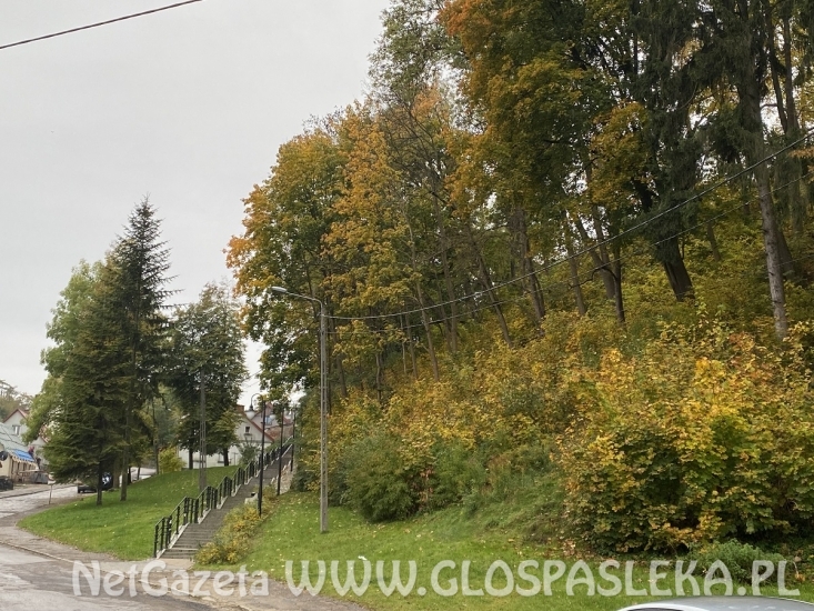 Porządki na wzgórzu zamkowym